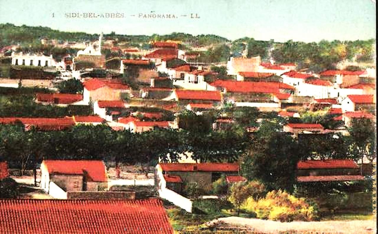 Sidi bel abbes 391.jpg